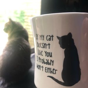 Meet your Posher, Kate